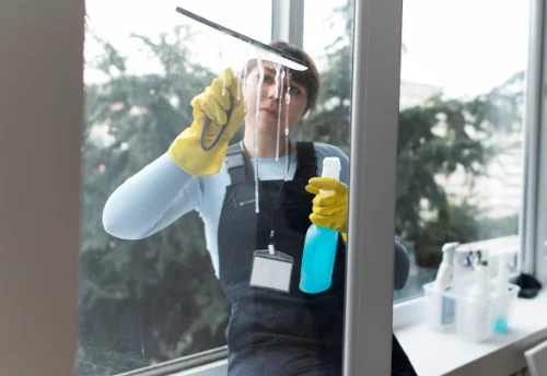 Nettoyage de vitres intérieures et extérieures à Saint-Jean-le-Comtal
